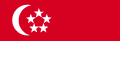 flag icon
