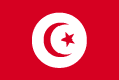 flag icon_1
